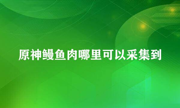 原神鳗鱼肉哪里可以采集到