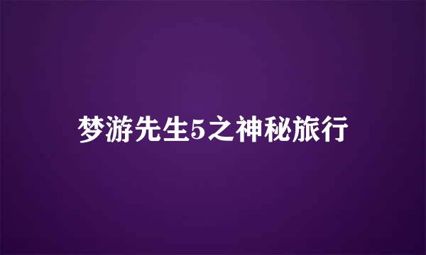 梦游先生5之神秘旅行