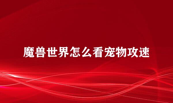 魔兽世界怎么看宠物攻速