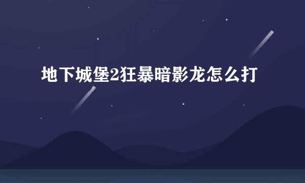 地下城堡2狂暴暗影龙怎么打