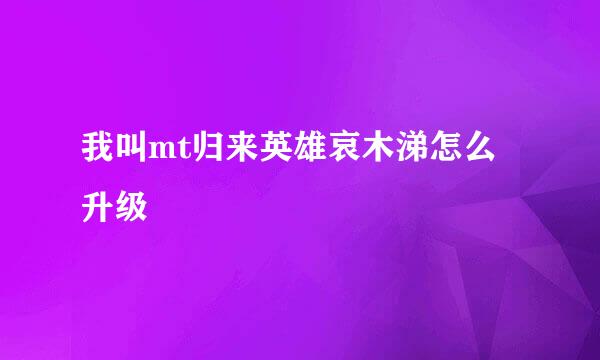 我叫mt归来英雄哀木涕怎么升级