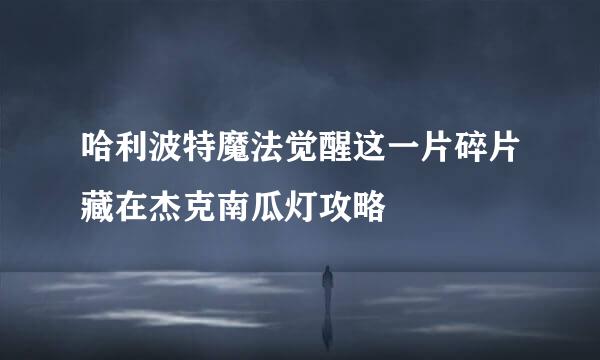 哈利波特魔法觉醒这一片碎片藏在杰克南瓜灯攻略