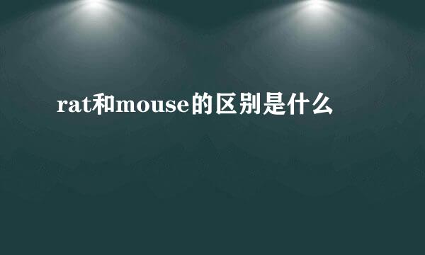 rat和mouse的区别是什么