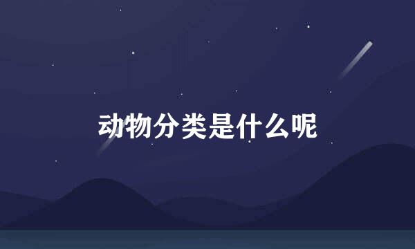 动物分类是什么呢