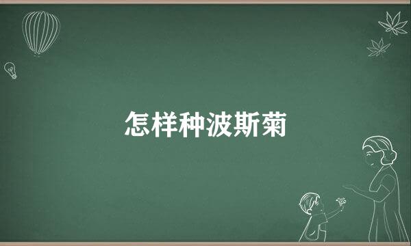 怎样种波斯菊
