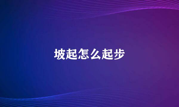 坡起怎么起步