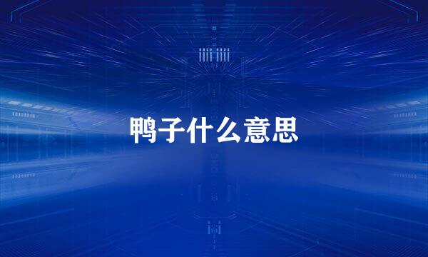 鸭子什么意思