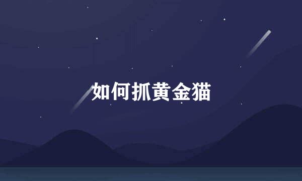 如何抓黄金猫