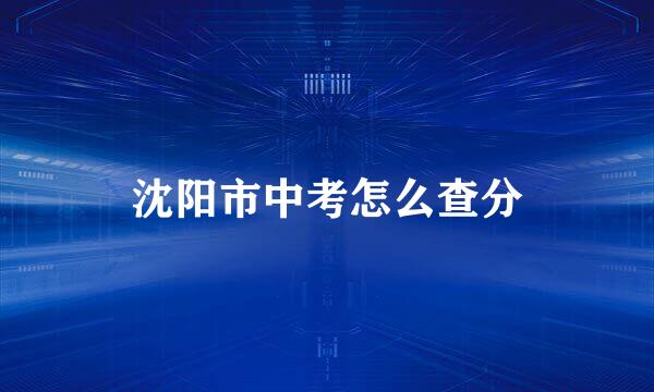 沈阳市中考怎么查分