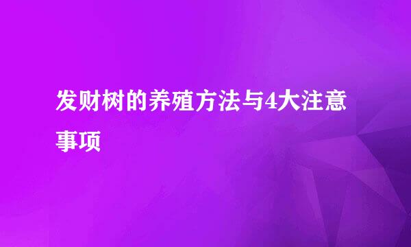 发财树的养殖方法与4大注意事项