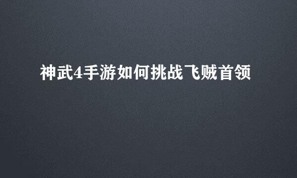神武4手游如何挑战飞贼首领