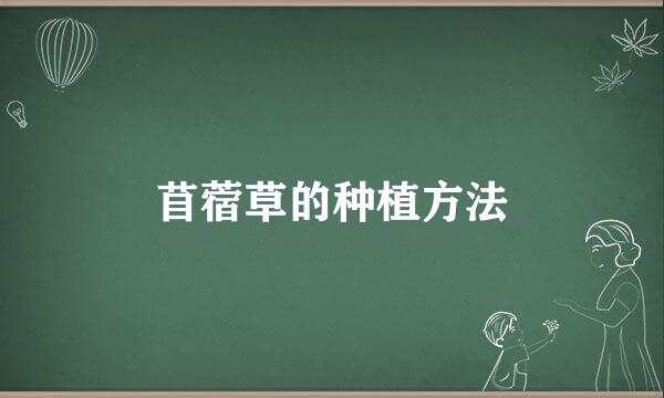 苜蓿草的种植方法