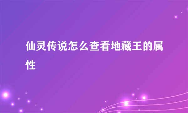 仙灵传说怎么查看地藏王的属性