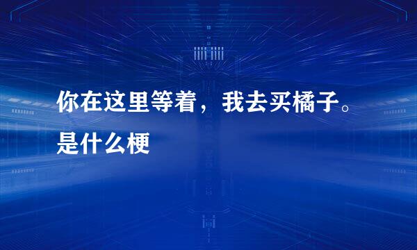 你在这里等着，我去买橘子。是什么梗