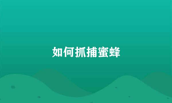 如何抓捕蜜蜂