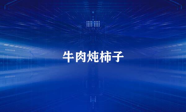 牛肉炖柿子