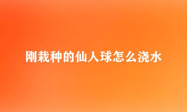 刚栽种的仙人球怎么浇水