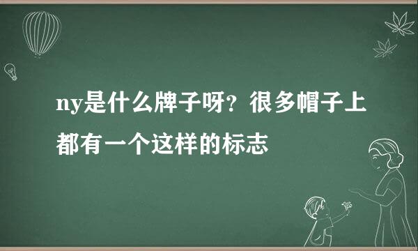 ny是什么牌子呀？很多帽子上都有一个这样的标志