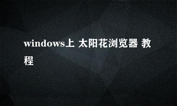 windows上 太阳花浏览器 教程