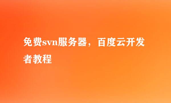 免费svn服务器，百度云开发者教程