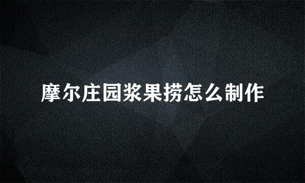 摩尔庄园浆果捞怎么制作