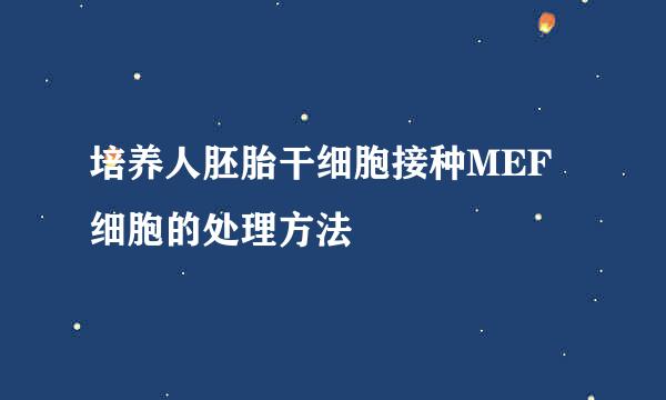 培养人胚胎干细胞接种MEF细胞的处理方法