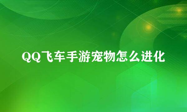 QQ飞车手游宠物怎么进化