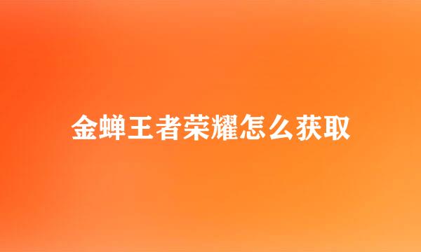 金蝉王者荣耀怎么获取