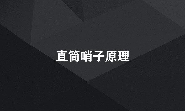 直筒哨子原理