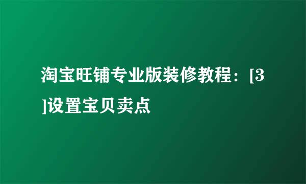 淘宝旺铺专业版装修教程：[3]设置宝贝卖点