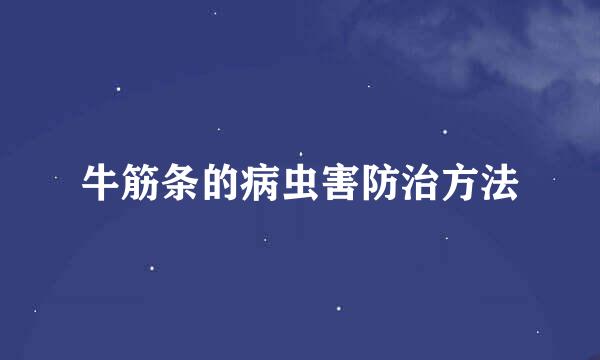 牛筋条的病虫害防治方法