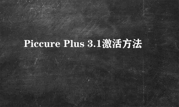 Piccure Plus 3.1激活方法