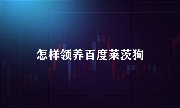 怎样领养百度莱茨狗