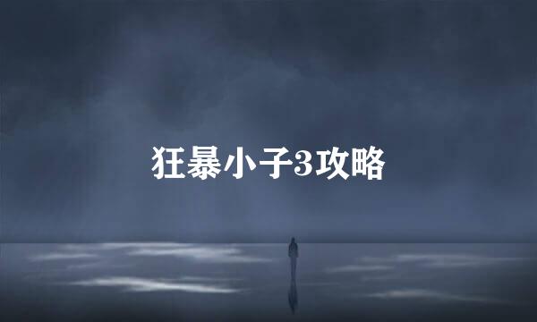 狂暴小子3攻略