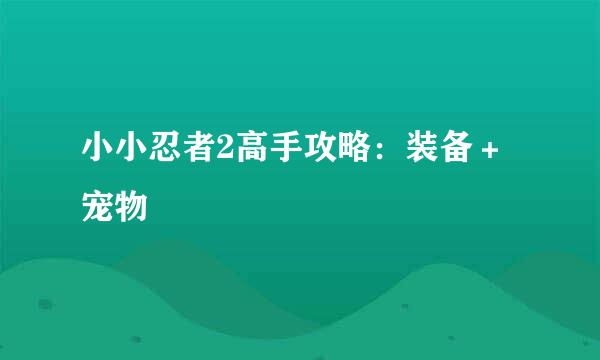 小小忍者2高手攻略：装备＋宠物