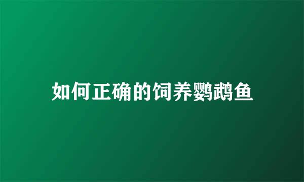 如何正确的饲养鹦鹉鱼