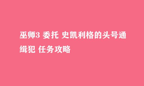 巫师3 委托 史凯利格的头号通缉犯 任务攻略
