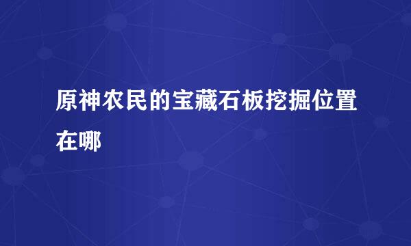 原神农民的宝藏石板挖掘位置在哪