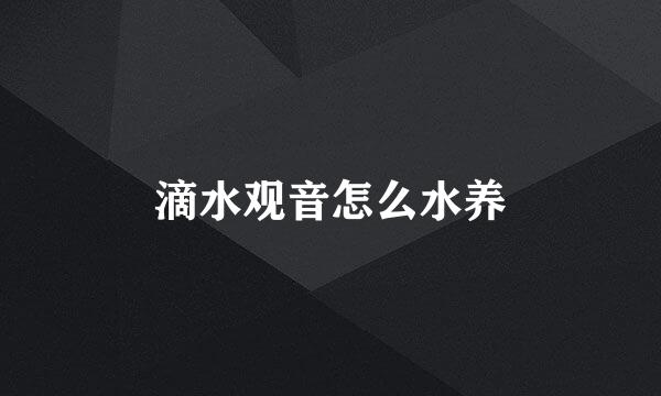 滴水观音怎么水养