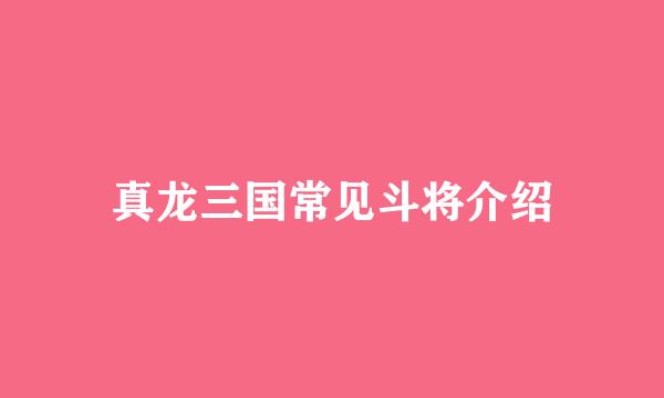 真龙三国常见斗将介绍