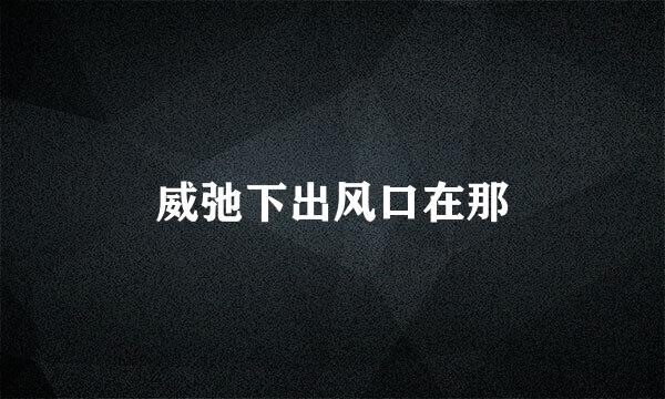 威弛下出风口在那