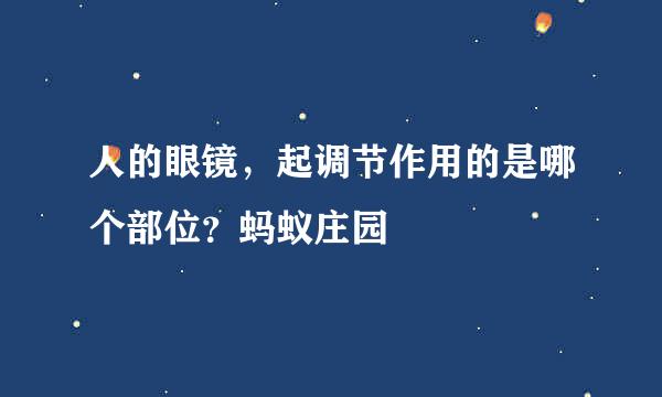 人的眼镜，起调节作用的是哪个部位？蚂蚁庄园