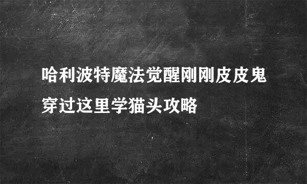 哈利波特魔法觉醒刚刚皮皮鬼穿过这里学猫头攻略