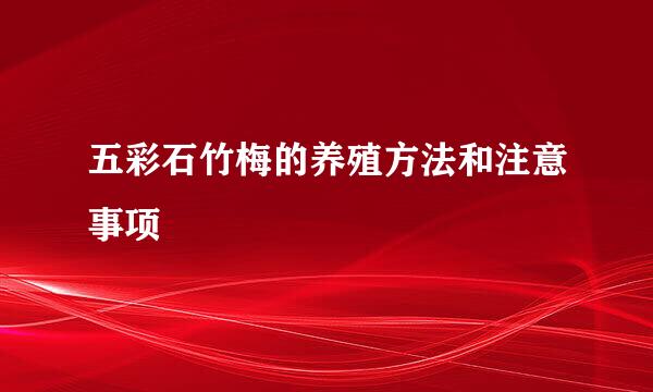 五彩石竹梅的养殖方法和注意事项
