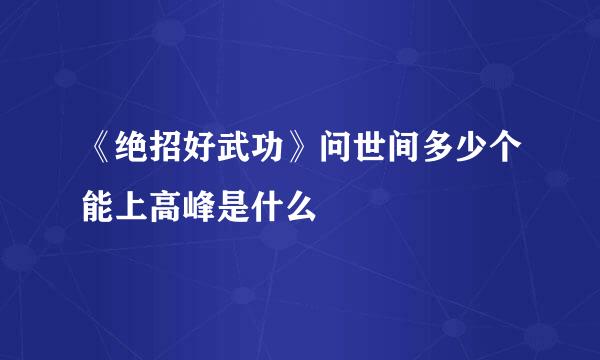 《绝招好武功》问世间多少个能上高峰是什么
