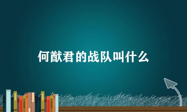 何猷君的战队叫什么