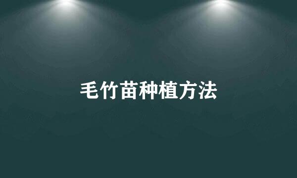 毛竹苗种植方法
