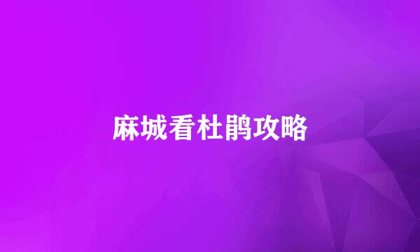 麻城看杜鹃攻略