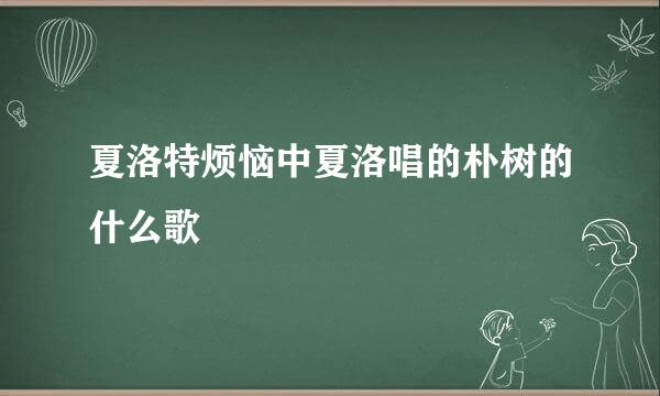夏洛特烦恼中夏洛唱的朴树的什么歌