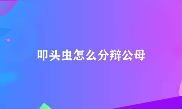 叩头虫怎么分辩公母